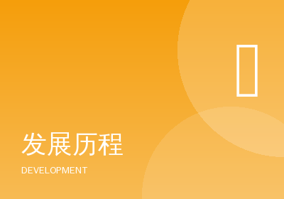 发展历程