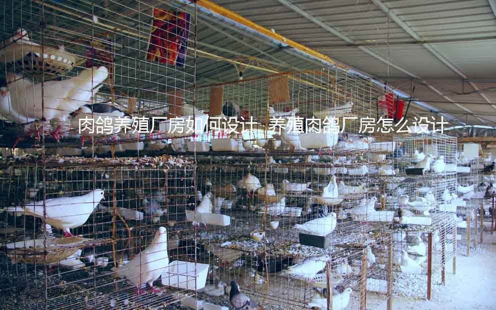 肉鸽养殖厂房如何设计  养殖肉鸽厂房怎么设计