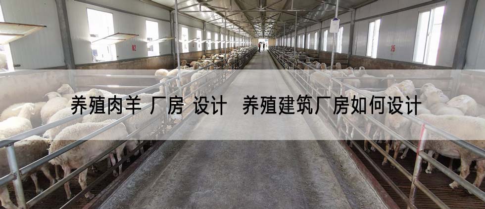 养殖肉羊 厂房 设计  养殖建筑厂房如何设计
